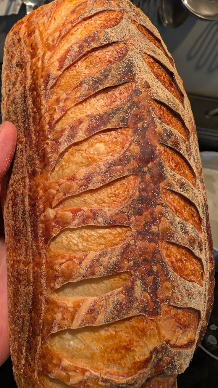 Full White Sourdough Loaf