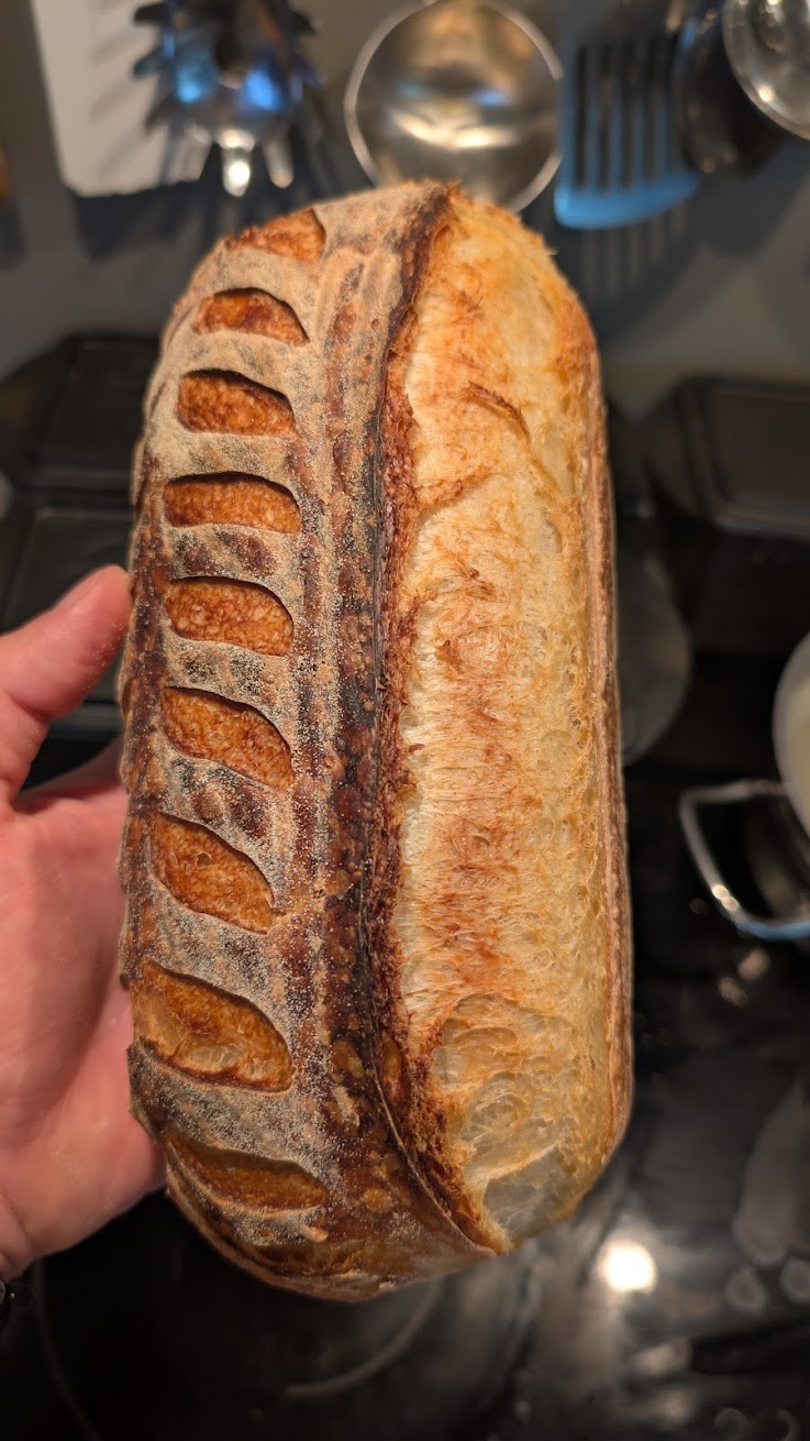 Full White Sourdough Loaf