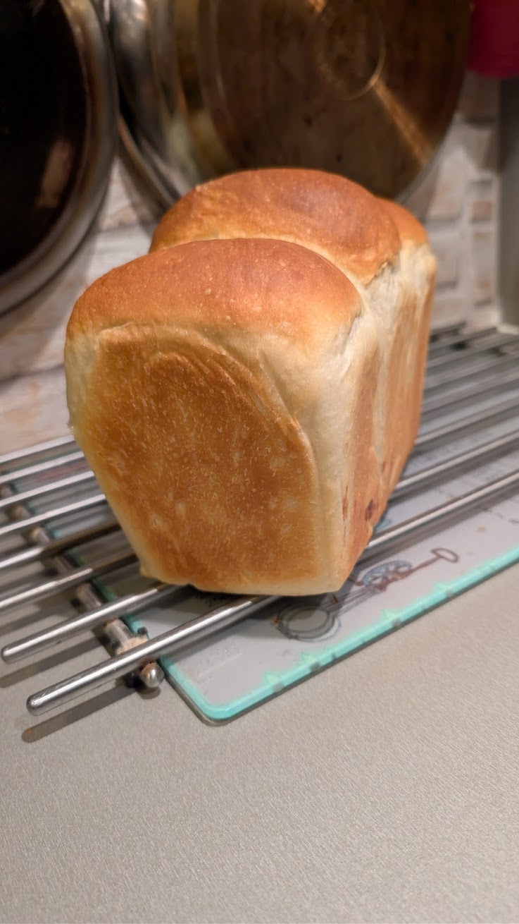 Sandwich Sourdough Loaf